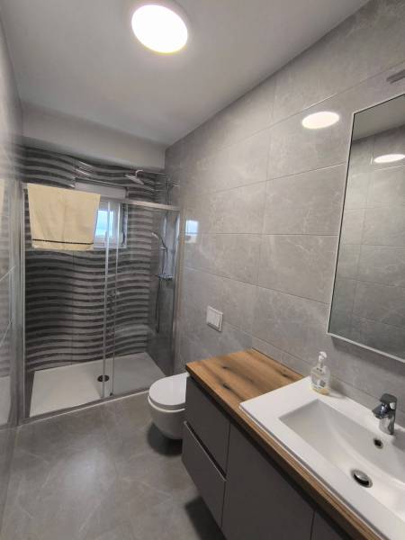 A bathroom in a 4-room apartment with a sink, shower, and toilet.