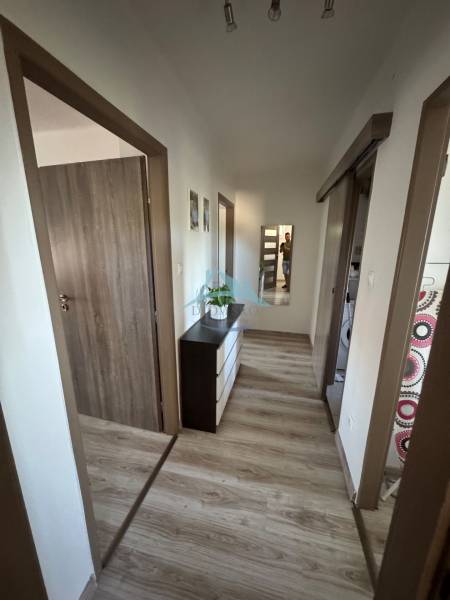 A hallway in a 3-room apartment with a mirror, wooden floor, and doors.