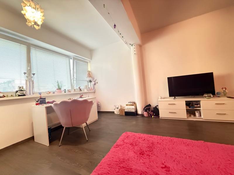 A room in a 4-room apartment with a desk, a television, and a pink carpet.