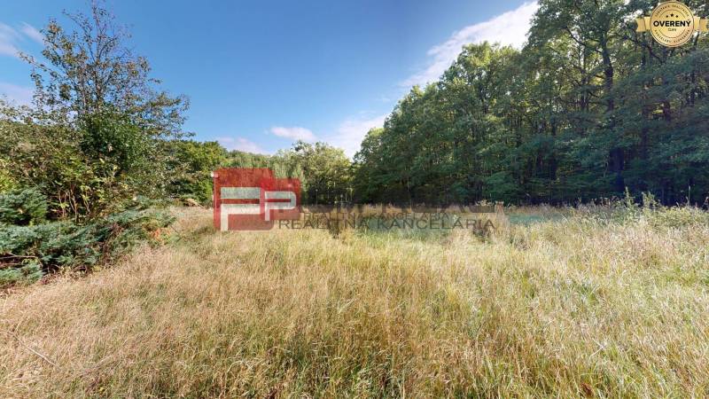 Plots - living in Pezinok surrounded by grass and forest.