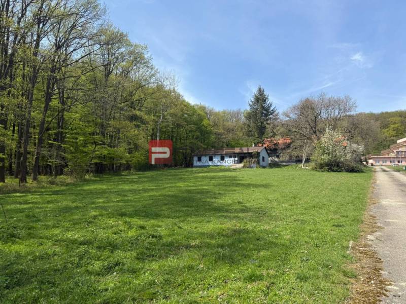 Peaceful meadows surrounded by forest in the town of Pezinok, ideal for residential plots.