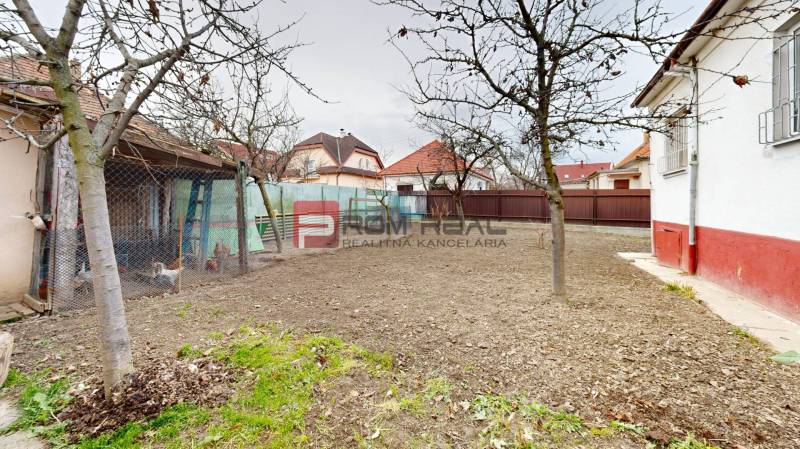 The yard of a family house on Farebná Street in Bratislava II with trees and a chicken coop.