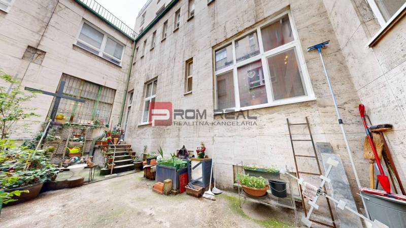 An inner courtyard with plants and a ladder in a 2-room apartment.