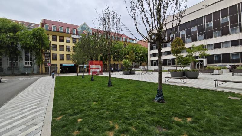 A lawn with a path, benches, and modern buildings on Gorkého Street in Bratislava - Old Town.