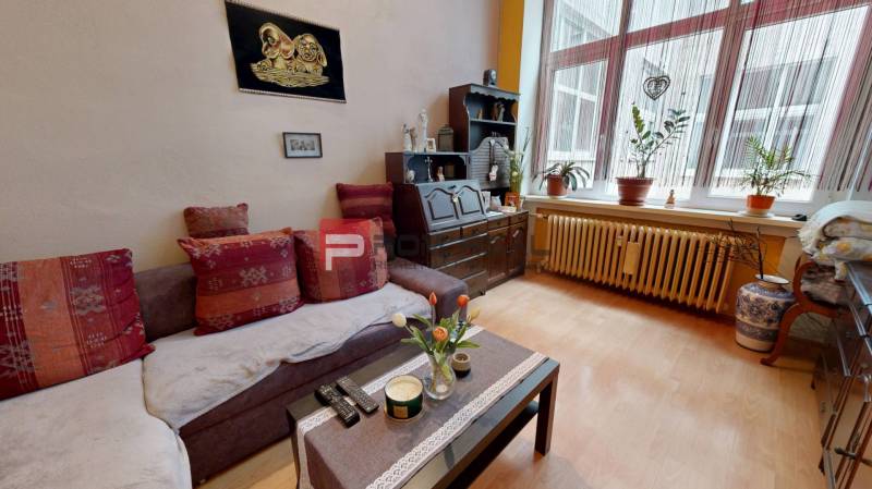 Living room in a two-room apartment with a sofa, plants, and a wooden dresser.