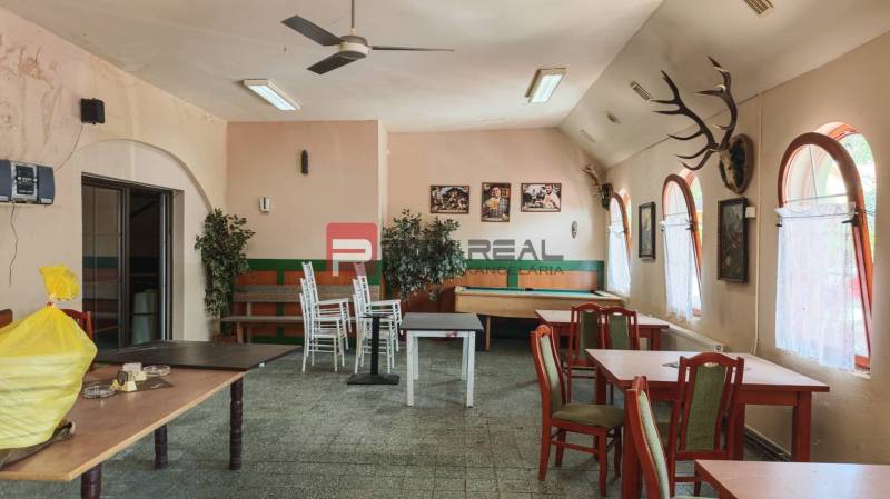 Interior of dining spaces with wooden furniture and trophies on the walls.