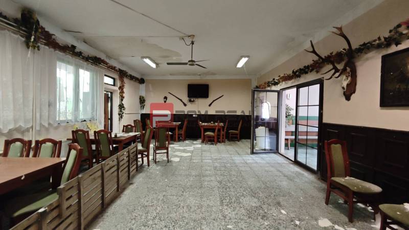 Interior of dining spaces with chairs and tables, decorated with hunting trophies and plants.