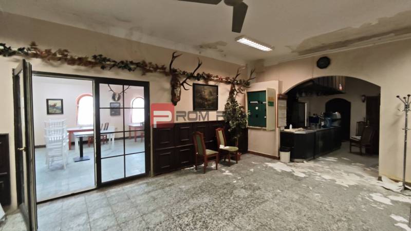 Interior of a gastro space with hunting decorations, chairs, and a bar counter.