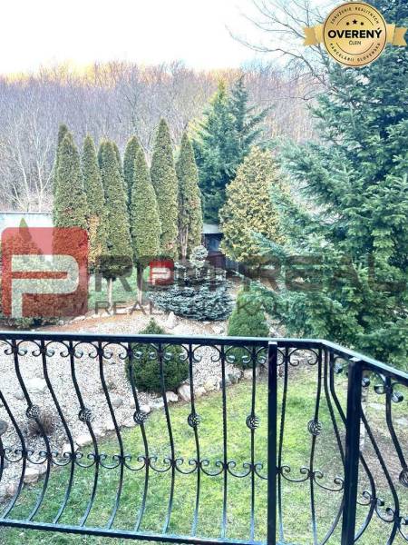 The garden of a family house in Píla with a view of coniferous trees beyond the fence.