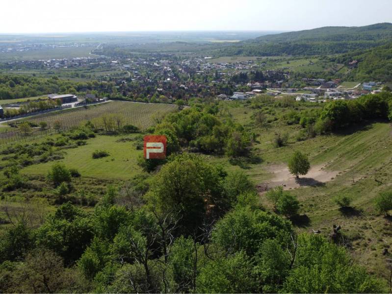 Limbach: View of plots - housing with a view of the surrounding landscape and vineyards.
