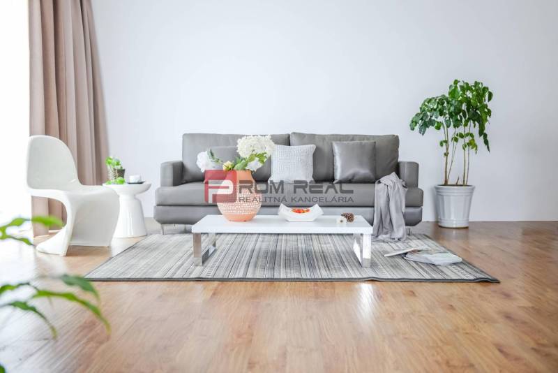 Living room in a studio apartment; gray sofa, white table, plants, and wooden floor.