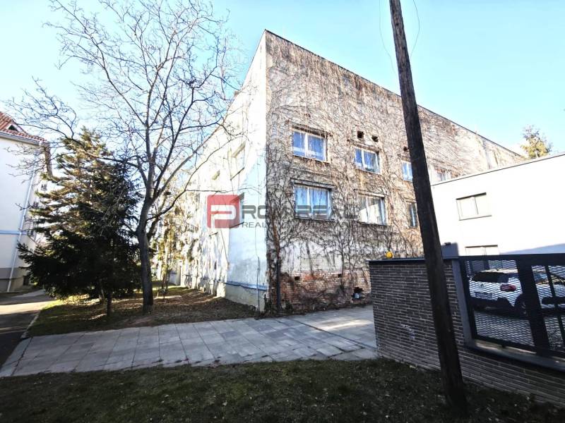 A building on Ľ. Podjavorinská Street covered with climbing plants, with a tree standing next to it.