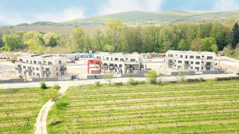Pezinok, Pezinok: Construction of new buildings with a garden and vineyard near the forest.