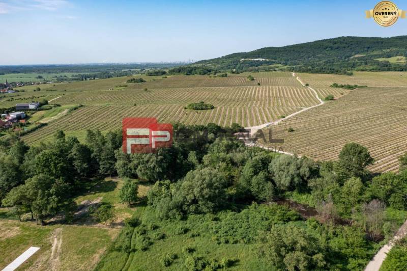 Vast vineyards, green fields, trees along Limbašská road, ideal for a 2-room apartment.