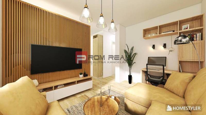Living area in a studio apartment with a sofa, TV, desk, and wooden elements.