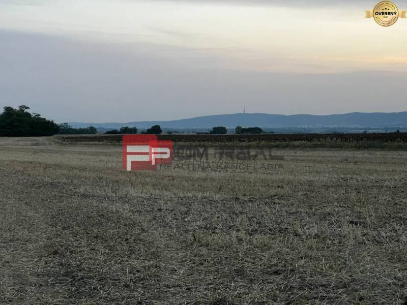 A view of agricultural and forest land on Senecká Street at sunset.