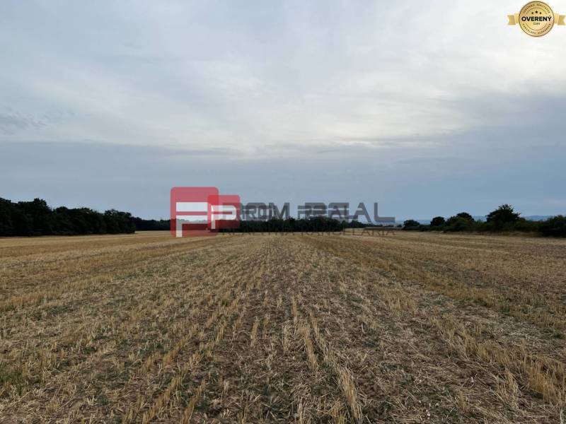 A field on Senecká Street with agricultural and forest land, surrounded by trees.