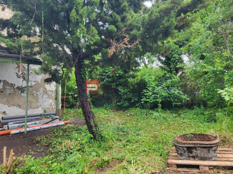 Greenery and a destroyed building near Holubyho Street in Pezinok, Land - housing.