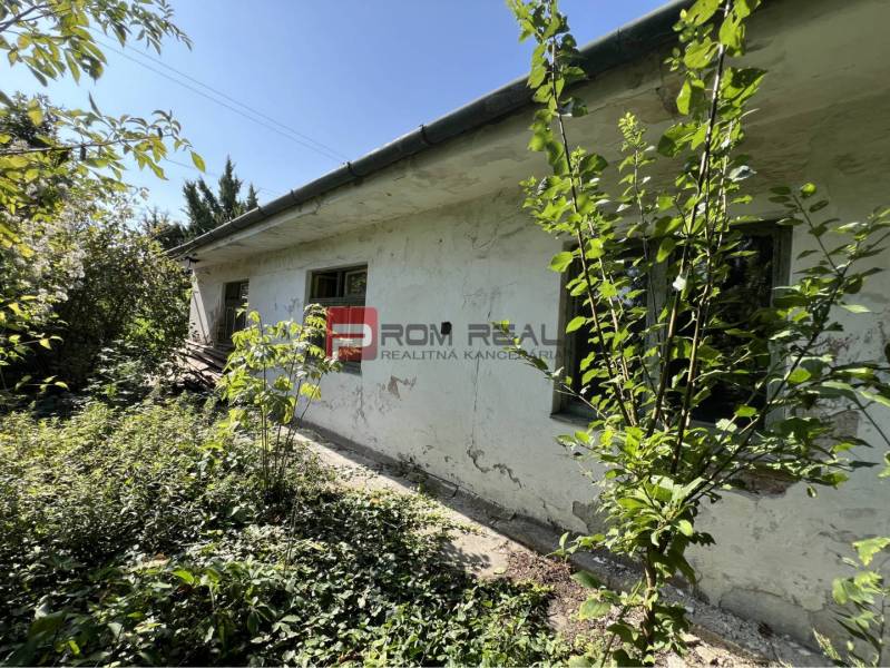 Lands - housing on Holubyho Street in Pezinok, surrounding plants near the older building.