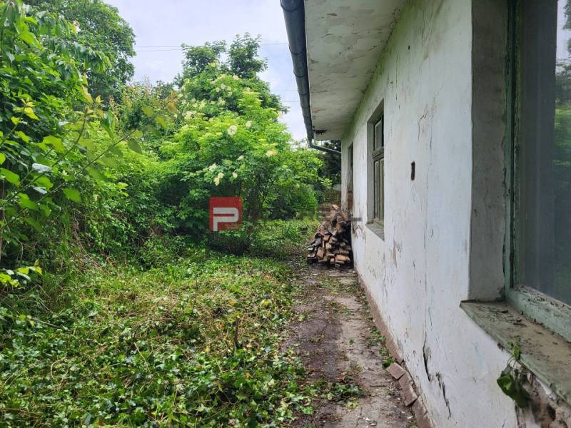 A plot of land on Holubyho Street in Pezinok, overgrown with greenery, with an adjacent building.