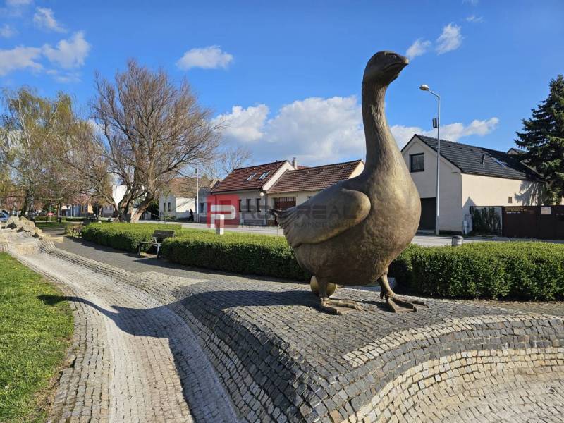 Statue of a goose in Slovenský Grob, surrounded by greenery and houses, Commercial land.
