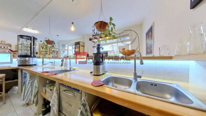 A kitchen space with a wooden countertop, hanging plants, and dishes.