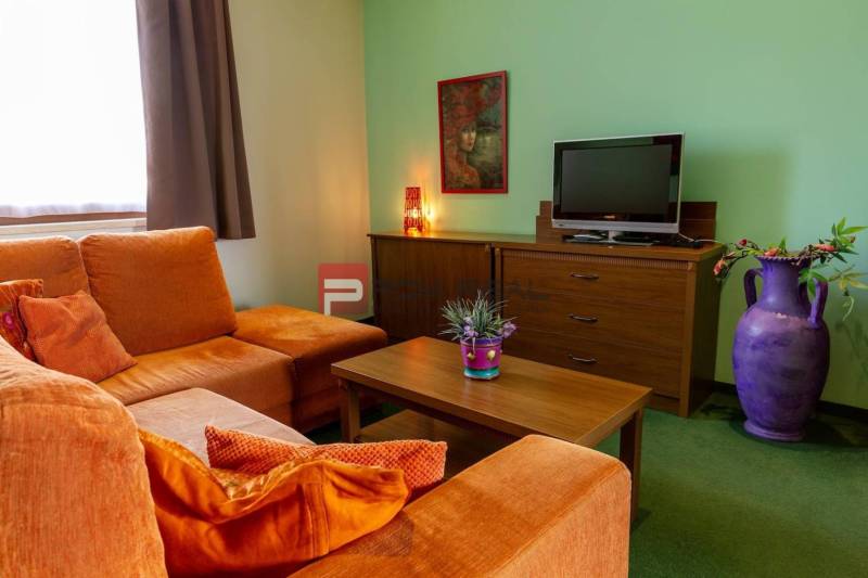 Living room in hotels and guesthouses, with a sofa, television, picture, and decorations.