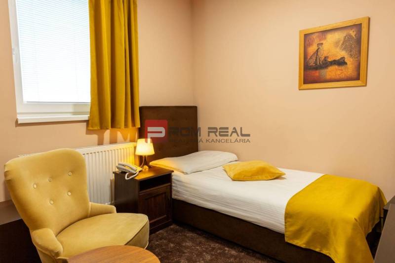 Single room with a chair and a painting in hotels and guesthouses.