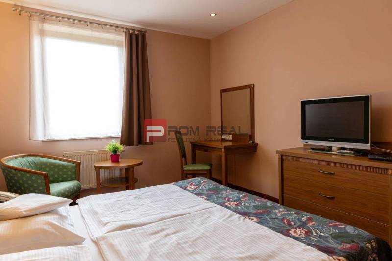 A hotel room with a television, a desk, a chair, and a plant on the table.