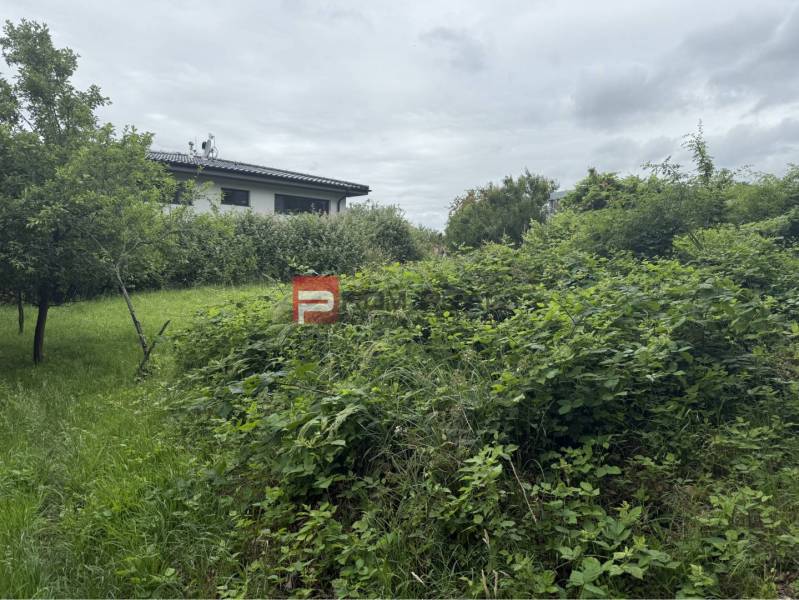 Overgrown residential plot in Marianka, Na Tálkoch, opposite the house, surrounded by greenery.