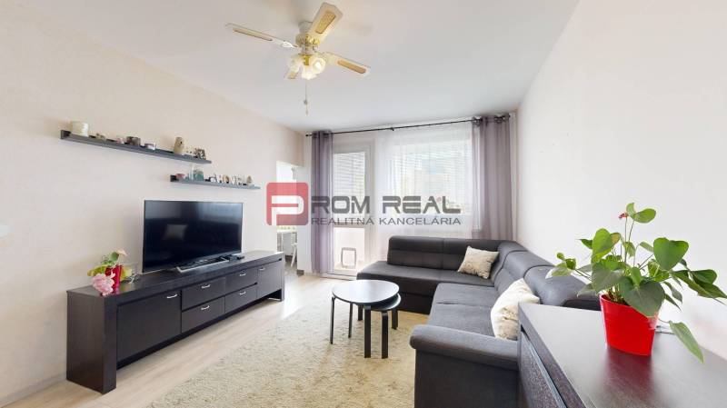 Living room of a 3-room apartment with a corner sofa and a TV stand, plants on the cabinet.
