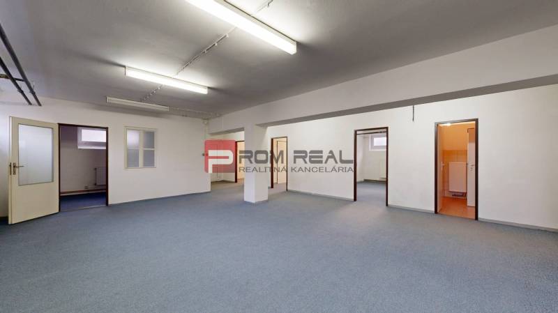 The interior of a spacious office space with multiple doors and a blue carpet in warehouses and halls.