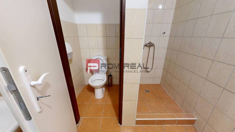 Toilet and shower in warehouse and hall spaces with tiling.