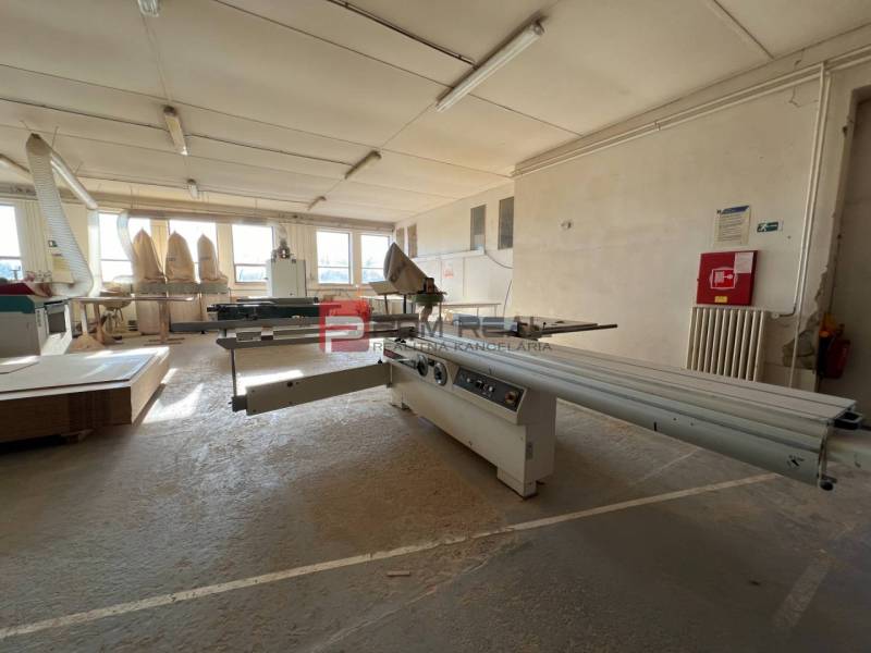 Production premises with a cutting machine and windows providing natural light.