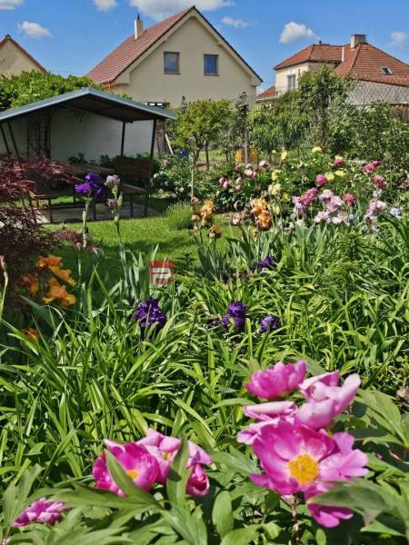The garden at the family house on Slnečná Street in Pezinok is full of flowers and a gazebo.
