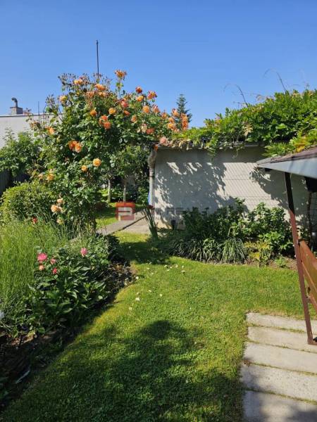 The garden of the family house on Slnečná Street in Pezinok with beautiful flowers and a lawn.