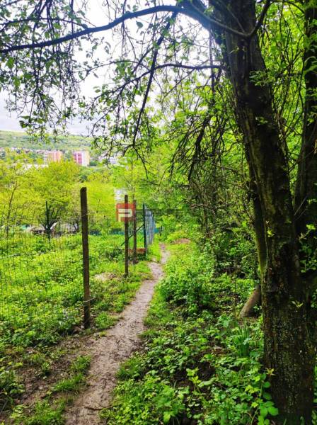 A narrow forest path leads through hedges and gardens in a natural setting.