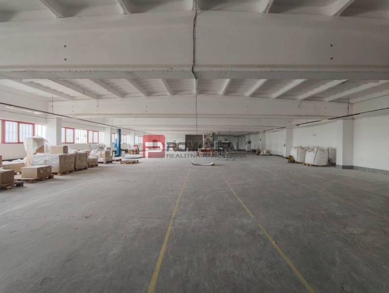 Spacious production premises with pallets and equipment ready for storage.