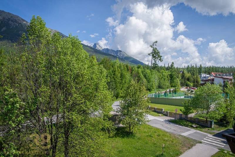 The view from the Recreational Apartment in the High Tatras includes greenery and mountain scenery.