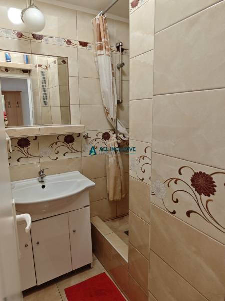 A bathroom in a 2-room apartment with a shower and a sink.