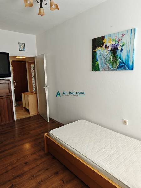 A simple room with a bed and a painting in a two-room apartment.