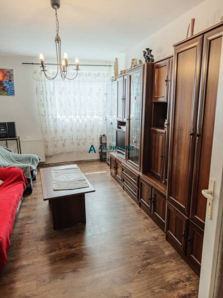 Living room with wooden furniture, a sofa, and a chandelier in a two-room apartment.