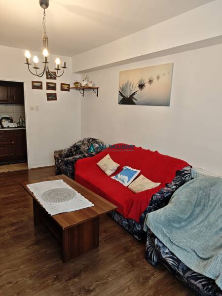 Living room in a two-room apartment with sofas, a coffee table, and decorations on the walls.