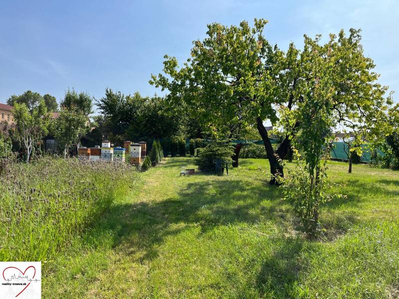 Greenery, beehives, and trees in Dolný Bar, ideal for plots - living.