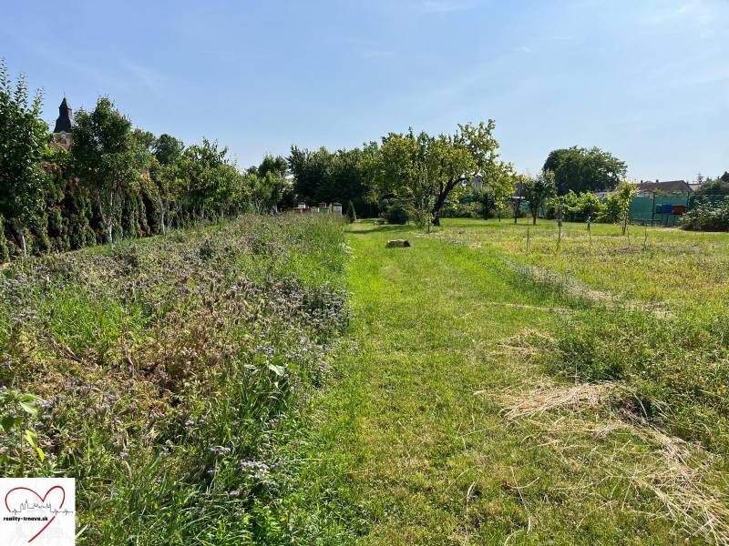 Greenery and tall grass on residential plots in Dolný Bar.