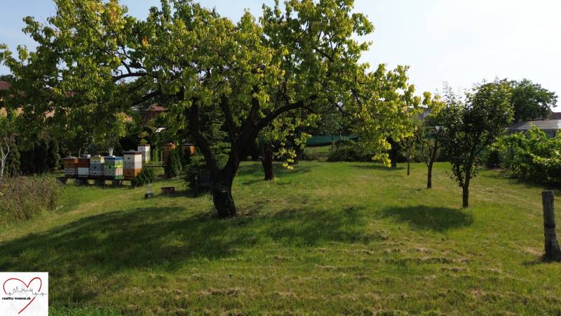 A garden in Dolný Bar with beehives and trees, suitable for living.