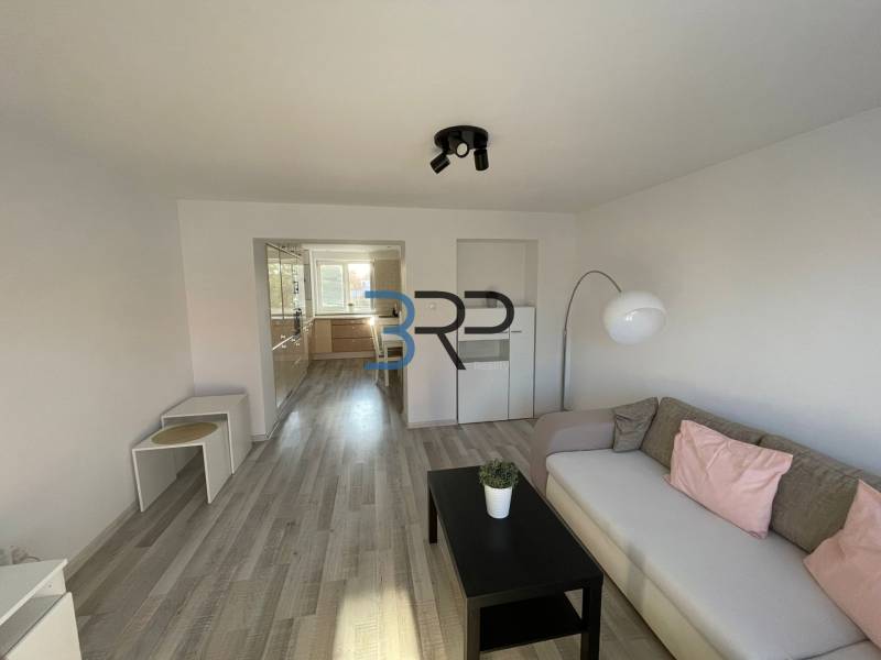 Living room in a two-room apartment with a sofa, table, and entrance to the kitchen.