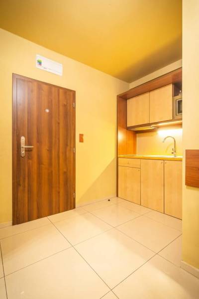 Entrance area of the recreational apartment with wooden doors and a kitchenette.