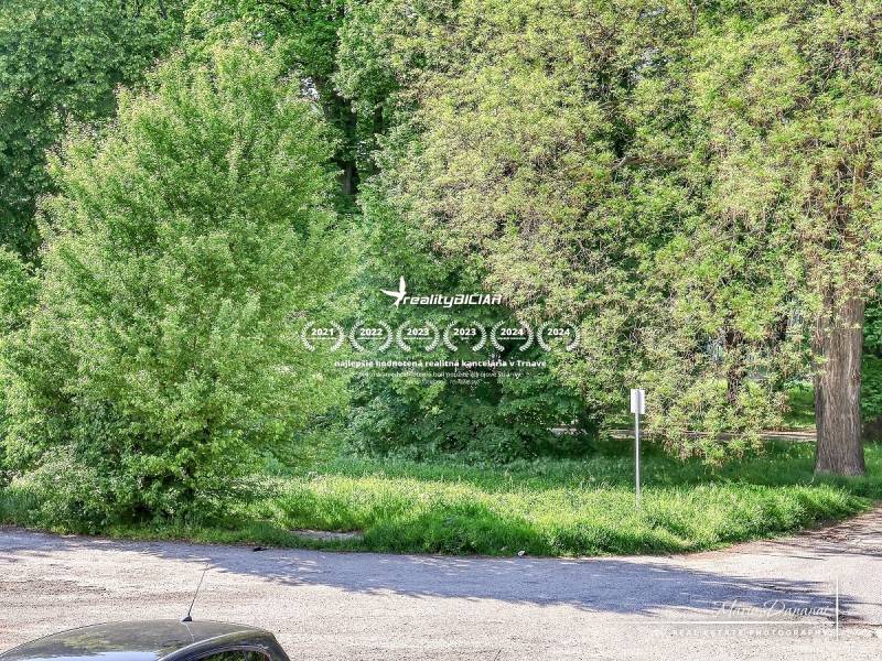 Greenery and parking lot on Staničná Street in Trnava, view from a 2-room apartment.