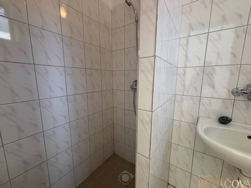 Shower corner with tiles and sink in the warehouse and hall areas.